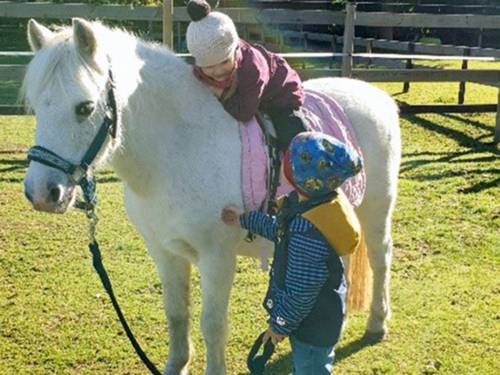 Förderung von Kindern über den Kontakt mit Pferden